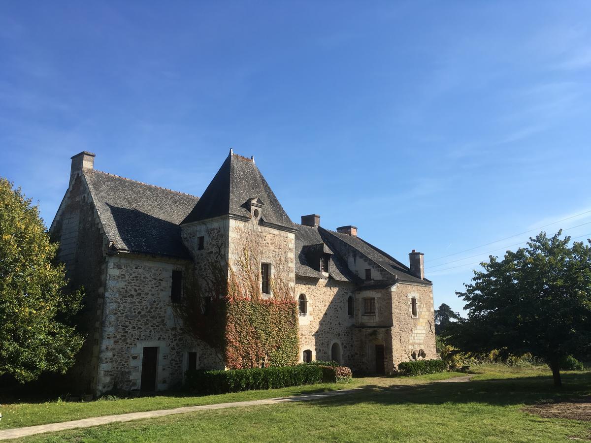 Manoir De Jouralem Bed and Breakfast Blaison Εξωτερικό φωτογραφία