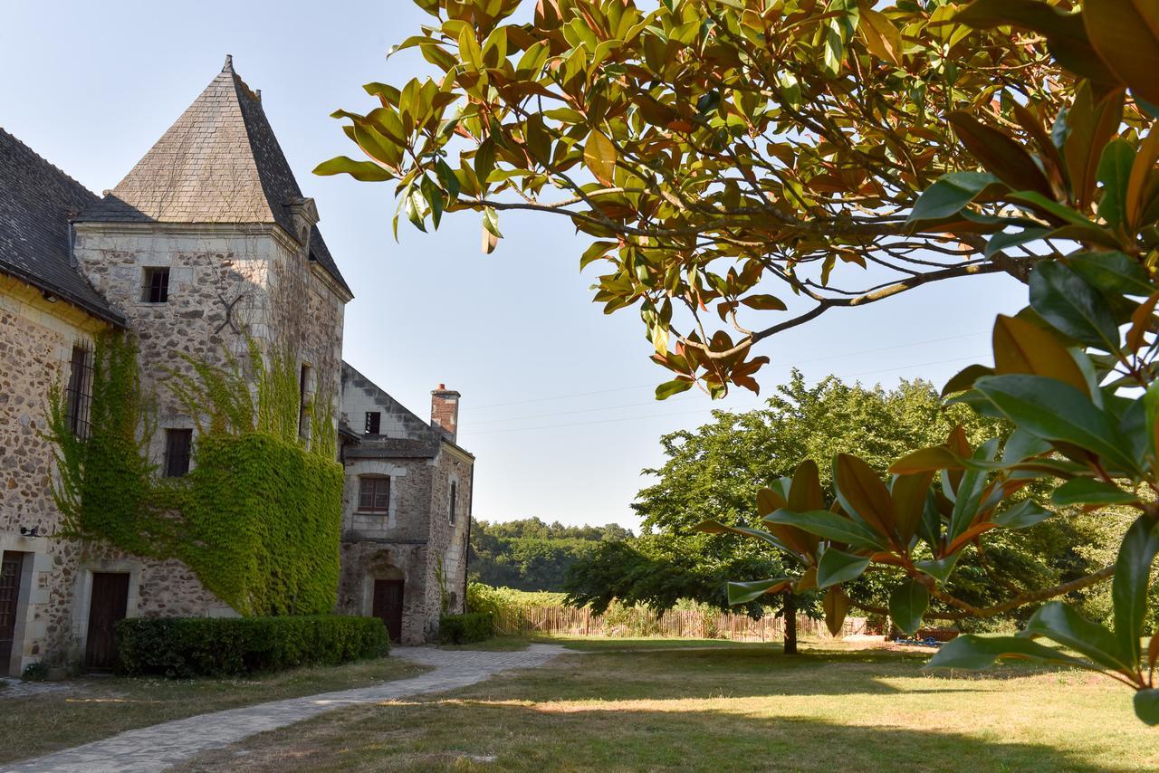 Manoir De Jouralem Bed and Breakfast Blaison Εξωτερικό φωτογραφία